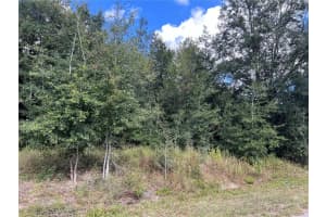 MLS# MFROM688295, Ocala, Florida 34474