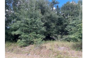 MLS# MFROM688295, Ocala, Florida 34474