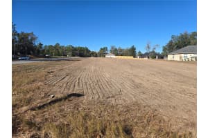 7529 MARICAMP RD. ROAD, OCALA, FL 34472 - MLS#MFROM688298