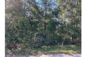 TBD NE 138TH TERR, WILLISTON, FL 32696 - MLS#MFROM688341