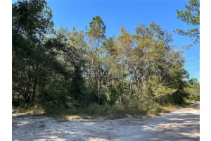 TBD NE 138TH TERR, WILLISTON, FL 32696 - MLS#MFROM688341