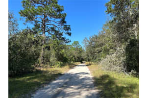 TBD NE 138TH TERR, WILLISTON, FL 32696 - MLS#MFROM688341