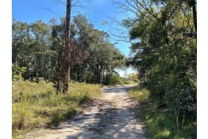 TBD NE 138TH TERR, WILLISTON, FL 32696 - MLS#MFROM688341