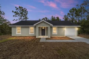 13299 SE 45TH AVENUE, BELLEVIEW, FL 34420 Sold 04/15/25