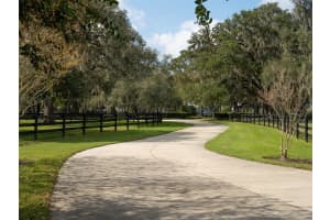 11901 83RD TERRACE, REDDICK, FL 32686 - MLS#MFROM688360