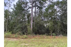 SW 133RD STREET RD, OCALA, FL 34473 Sold 12/02/24