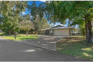 12801 43RD CIRCLE, OCALA, FL 34473 Sold 12/13/24