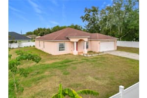 8335 162ND PLACE, SUMMERFIELD, FL 34491 - MLS#MFROM688406