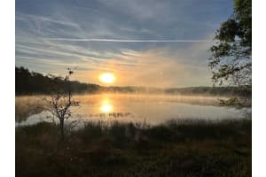 14688 47TH LOOP, OCKLAWAHA, FL 32179 Sold 06/19/25