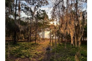 14688 47TH LOOP, OCKLAWAHA, FL 32179 Sold 06/19/25