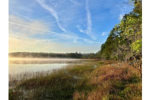 14688 47TH LOOP, OCKLAWAHA, FL 32179 Sold 06/19/25