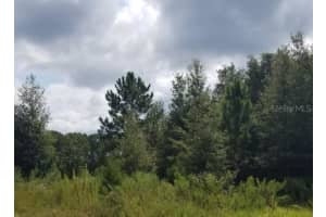 0 SW 202ND CT, DUNNELLON, FL 34431 Sold 11/19/24
