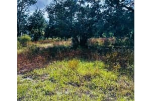 6646 PARK DRIVE, HOMOSASSA, FL 34446 Sold 11/25/24
