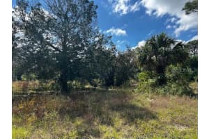 6646 PARK DRIVE, HOMOSASSA, FL 34446 Sold 11/25/24