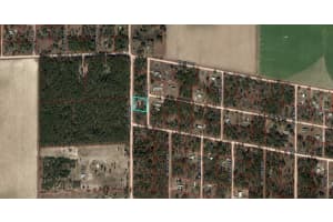 Tbd Ne 130th Ave Williston, FL 32696 Sold 02/03/25