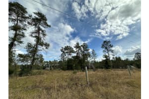 Tbd Ne 130th Ave Williston, FL 32696 Sold 02/03/25