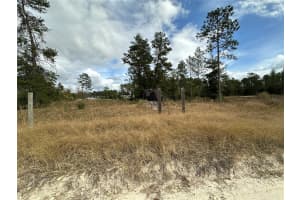 Tbd Ne 130th Ave Williston, FL 32696 Sold 02/03/25
