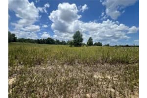 TBD 33RD LANE, OCALA, FL 34481 Sold 11/29/24