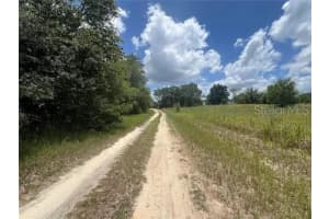 TBD 33RD LANE, OCALA, FL 34481 Sold 11/29/24