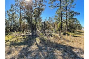 SE 131ST AVE, DUNNELLON, FL 34431 - MLS#MFROM688512