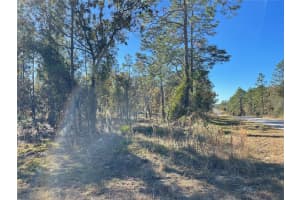 SE 131ST AVE, DUNNELLON, FL 34431 - MLS#MFROM688512