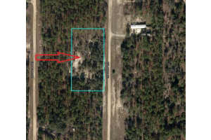 TBD SE 148TH TERRACE, WILLISTON, FL 32696 Sold 12/31/24