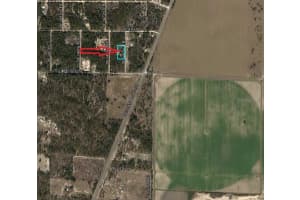 TBD SE 148TH TERRACE, WILLISTON, FL 32696 Sold 12/31/24