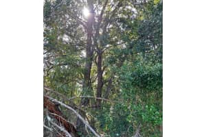 TBD 27TH TERRACE ROAD, OCALA, FL 34473 Sold 01/30/25