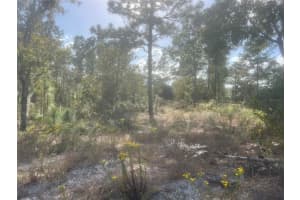 0 MARION OAKS MANOR, OCALA, FL 34473 Sold 12/02/24