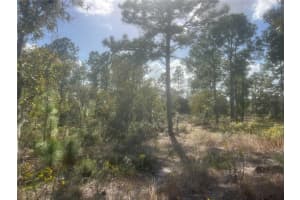 0 MARION OAKS MANOR, OCALA, FL 34473 Sold 12/02/24