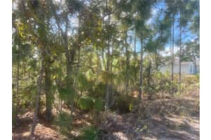 0 MARION OAKS MANOR, OCALA, FL 34473 Sold 12/02/24