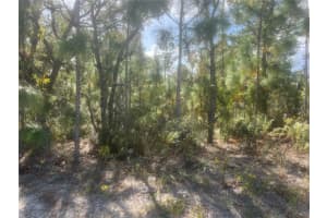 0 MARION OAKS MANOR, OCALA, FL 34473 Sold 12/02/24