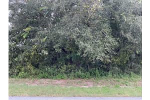 SW 56TH TERRACE RD, OCALA, FL 34473 Sold 12/31/24