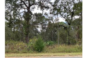 12137 JAYBIRD ROAD, WEEKI WACHEE, FL 34614 Sold 12/31/24