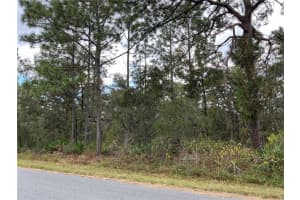 12137 JAYBIRD ROAD, WEEKI WACHEE, FL 34614 Sold 12/31/24