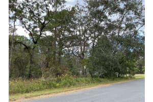 12137 JAYBIRD ROAD, WEEKI WACHEE, FL 34614 Sold 12/31/24