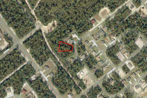 TBD SW 168TH LOOP, OCALA, FL 34473 Sold 08/14/25