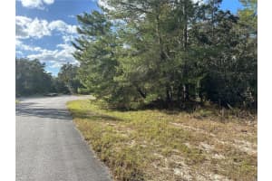 0000 174TH STREET, OCALA, FL 34473 - MLS#MFROM688873