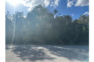0000 57TH AVENUE, OCALA, FL 34473 - MLS#MFROM688877