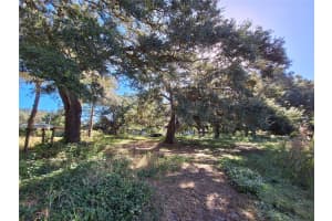 1210 174TH AVENUE, SILVER SPRINGS, FL 34488 - MLS#MFROM688891