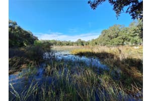 1210 174TH AVENUE, SILVER SPRINGS, FL 34488 - MLS#MFROM688891