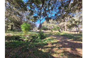 1210 174TH AVENUE, SILVER SPRINGS, FL 34488 - MLS#MFROM688891