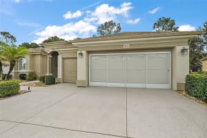 9450 130TH PLACE ROAD, SUMMERFIELD, FL 34491 - MLS#MFROM688967