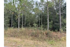 MLS# MFROM688981, Dunnellon, Florida 34431