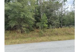 MLS# MFROM688981, Dunnellon, Florida 34431