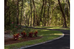 TBD NW 130TH AVENUE, OCALA, FL 34482 - MLS#MFROM689138