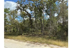 13298 EADOM AVENUE, BROOKSVILLE, FL 34614 Sold 01/06/25