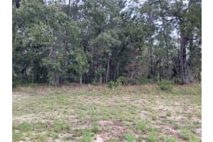 SW 134TH ST, OCALA, FL 34473 Sold 06/10/25