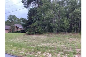 SW 134TH ST, OCALA, FL 34473 Sold 06/10/25