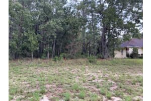 SW 134TH ST, OCALA, FL 34473 Sold 06/10/25